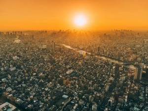 もう私は転校生じゃない。ふるさとで根を張って日々を生きていく