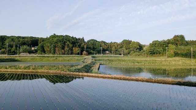 農家が手をかけて作り上げた、この風景（パフじろうさん提供）