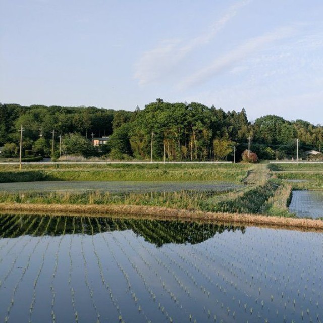 農家が手をかけて作り上げた、この風景（パフじろうさん提供）