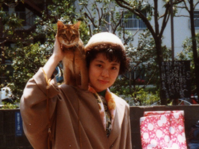 アーサーは肩に乗るのが大好きでした。近所の買い物にもついてきて、商店街の有名猫だったのです