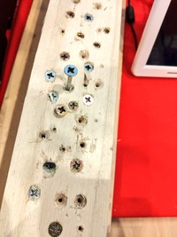 （まな竿さん提供）