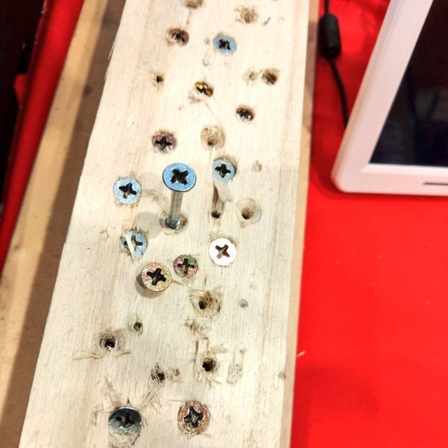 （まな竿さん提供）