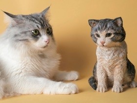 生きているかのような木彫りの猫　存在感ある彫刻を彫る女性作家