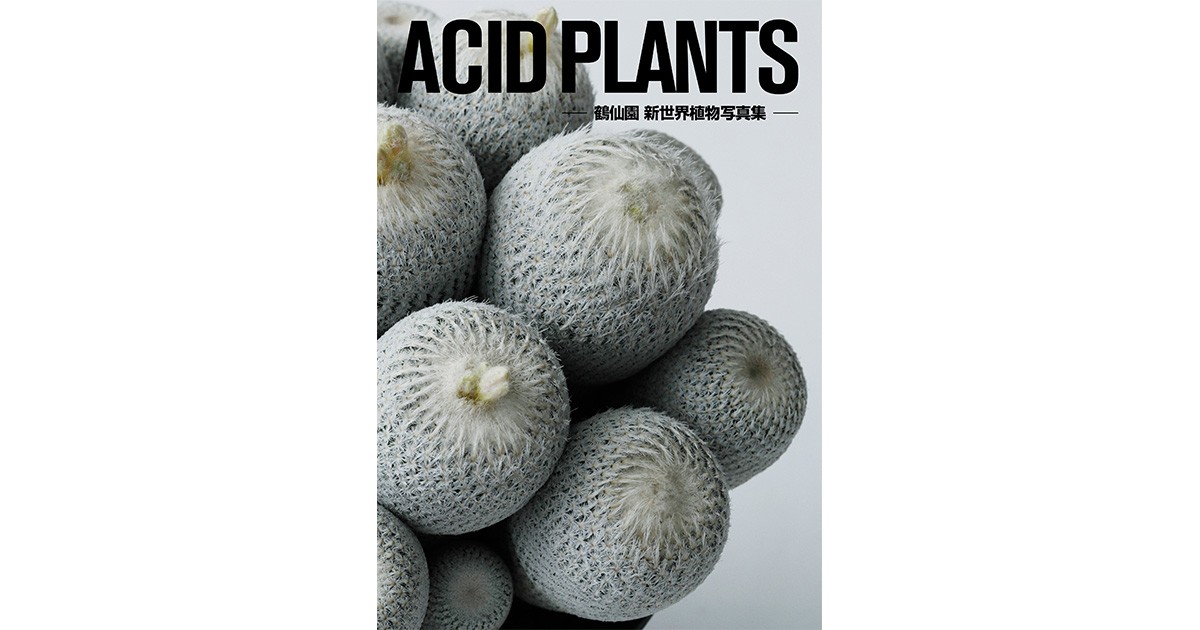 鶴仙園 新世界植物写真集「ACID PLANTS」 多肉植物が放つ幾何学
