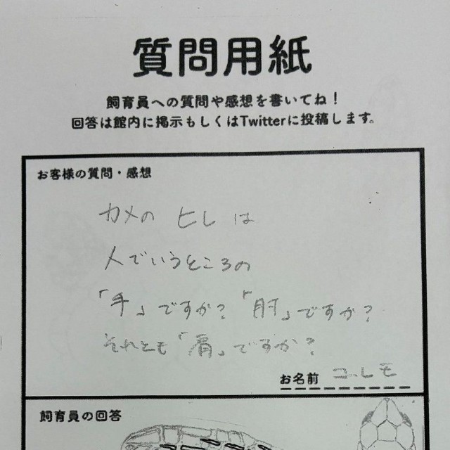 質問用紙に寄せられたギモンに回答／道の駅ウミガメ公園【公式】より