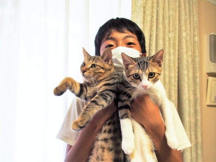 じっとしていない2匹を抱くのはむつかしい