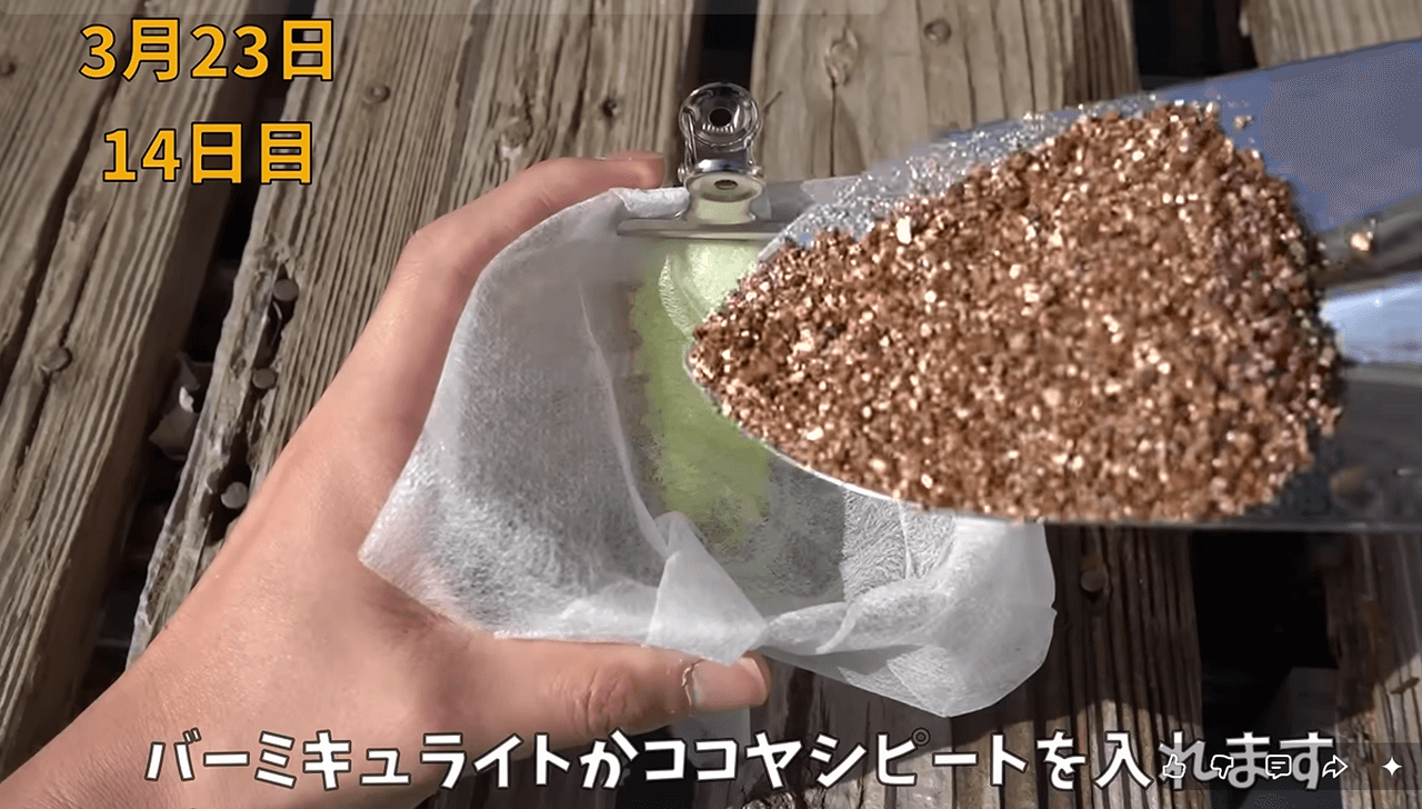 特別な鉢ではなく、アルミホイルを貼ったペットボトルを仕様します 画像提供：のりんごさん