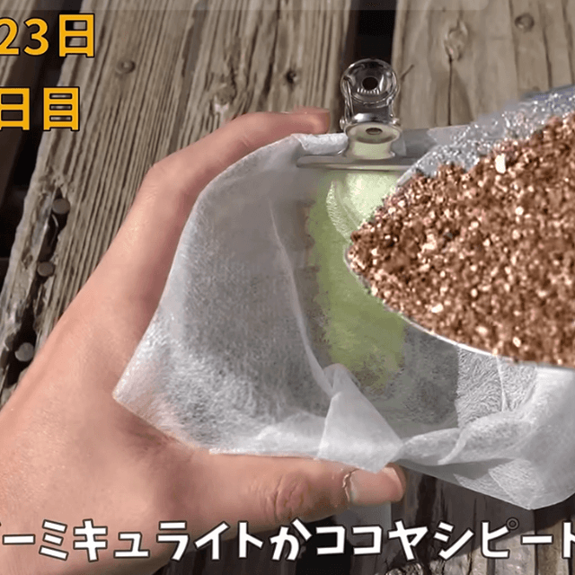 特別な鉢ではなく、アルミホイルを貼ったペットボトルを仕様します 画像提供：のりんごさん