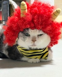 赤鬼さん。お母さん、遊び過ぎにゃ