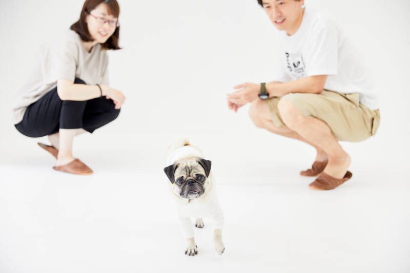 ４歳の誕生日に家族で記念撮影。いつまでもお幸せに…