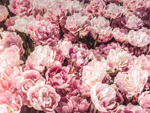 新しい恋をした今、6年前に別れた「元彼」へ伝えたいこと