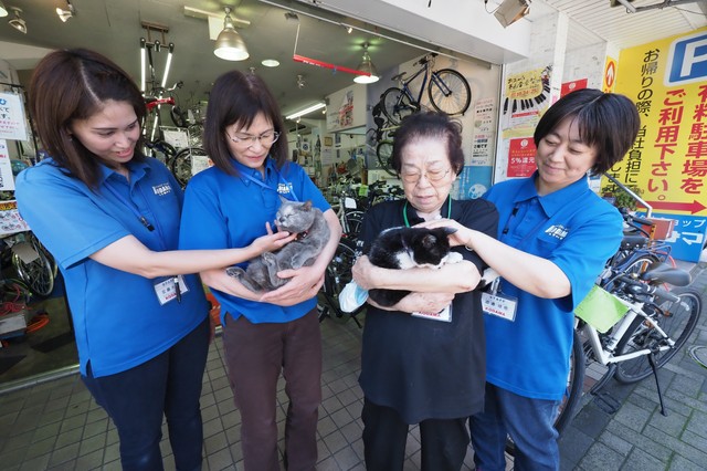 スタッフの間では２匹はアイドル