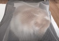 飼い主さんはレモンちゃんを何とか捕獲。ケージにやっと入ってくれたという（提供写真）