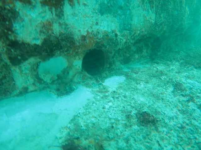 きれいな●…穴は50個以上見つかった