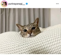 21年9月の柳ゆり菜インスタグラム＠yurinayanagi__より
