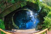 【静岡県】名水百選　柿田川湧水群（photoAC）