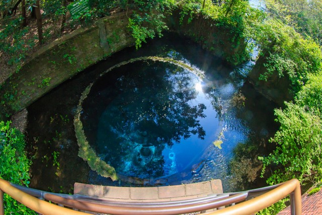 【静岡県】名水百選　柿田川湧水群（photoAC）