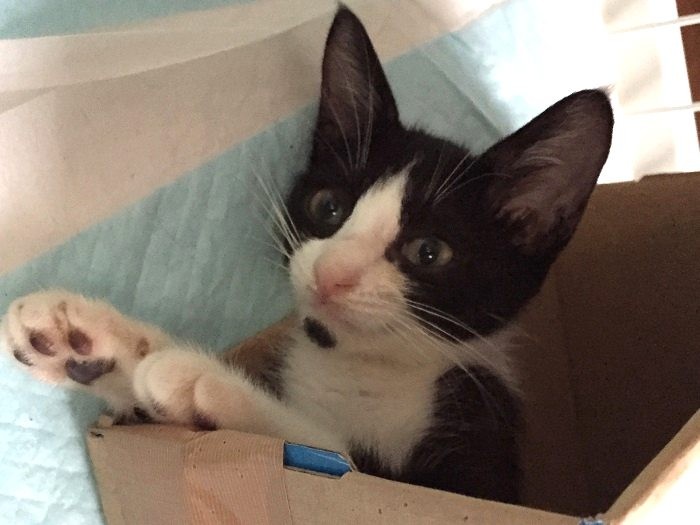 「さっぱり、すっきり！」