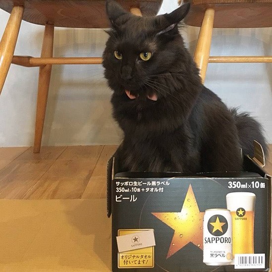 コマーシャルのオファーくるかなあ？