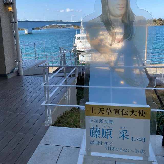 たしかに目視しにくい！（Sleep Deeplyさん提供）