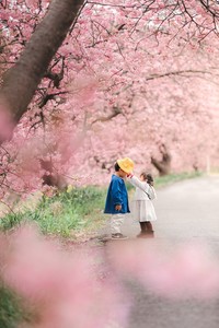 「お兄ちゃん、頑張ってね」から、今年は…（提供：Masaya "パパカメラマン"さん）