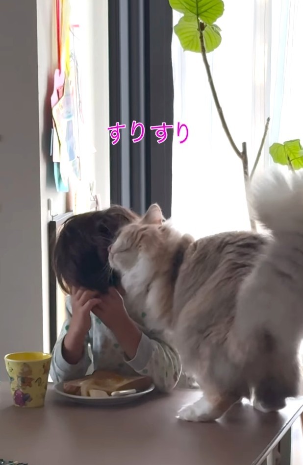 スリスリ……（飼い主さん提供、Instagramよりキャプチャ撮影）