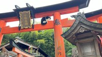鳥居にたたずむ猫 ※松村上久郎さん提供
