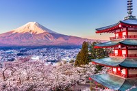 新倉山浅間公園から望む富士山と桜(tt2pb/stock.adobe.com)