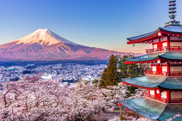 新倉山浅間公園から望む富士山と桜(tt2pb/stock.adobe.com)