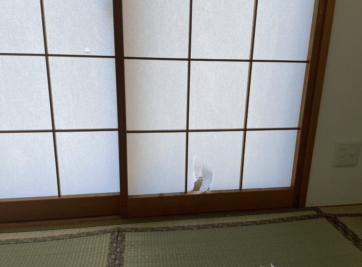 朝発見したのは、障子の小さな穴 画像提供：サブよものおうち