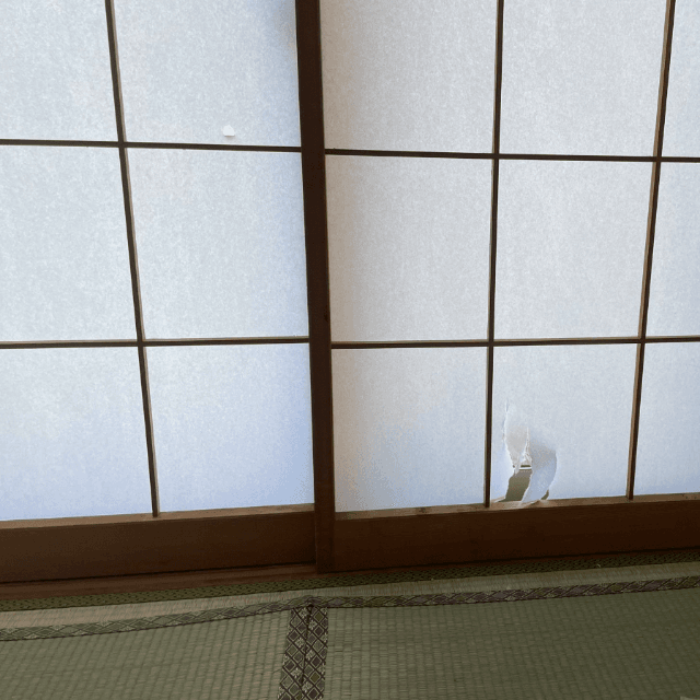 朝発見したのは、障子の小さな穴 画像提供：サブよものおうち