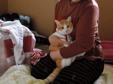 愛猫とともに避難　「動物連れ専用の避難所があれば…」