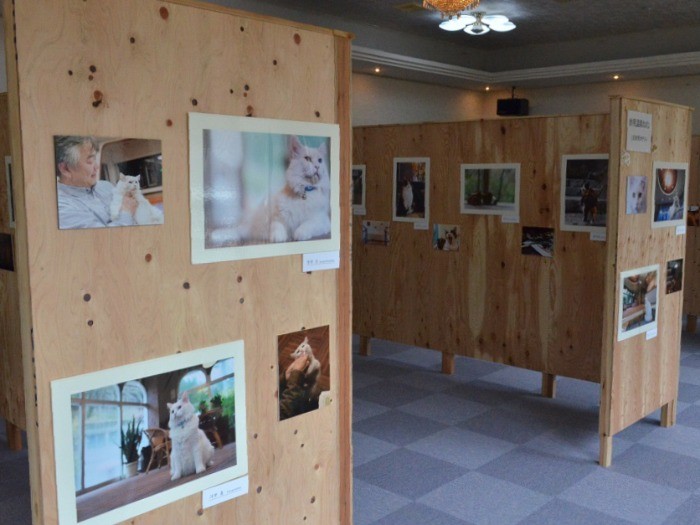 各旅館の看板猫を撮影した写真展の会場