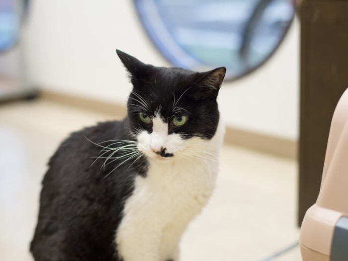 「診察室の窓は外を眺めるのにちょうどいいけど、禁煙なんだよな」（小林写函撮影）