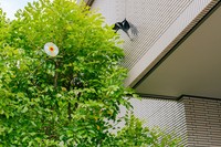 ディスクを吊るして対策　※この画像はイメージです（yslab02/stock.adobe.com）