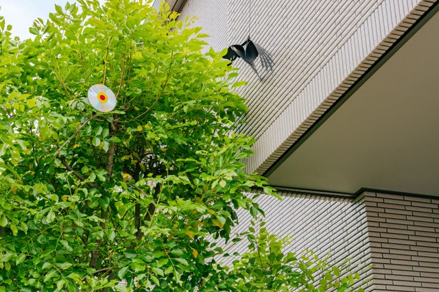 ディスクを吊るして対策　※この画像はイメージです（yslab02/stock.adobe.com）