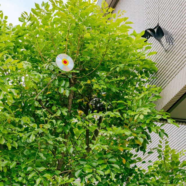ディスクを吊るして対策　※この画像はイメージです（yslab02/stock.adobe.com）