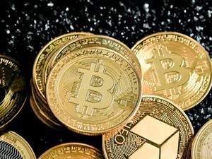 献血、学生の作品展、古本屋。お金がなくたってデートは楽しめる