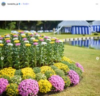 宮内庁インスタグラムから