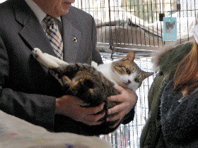 「殺処分ゼロに力入れます」　動物管理センターの名称変更へ