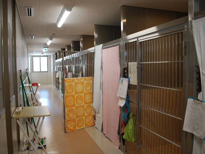犬舎の廊下の様子。反対側には窓があり外側からも犬たちの様子は確認できます