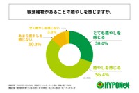 観葉植物があることで癒やしを感じるか