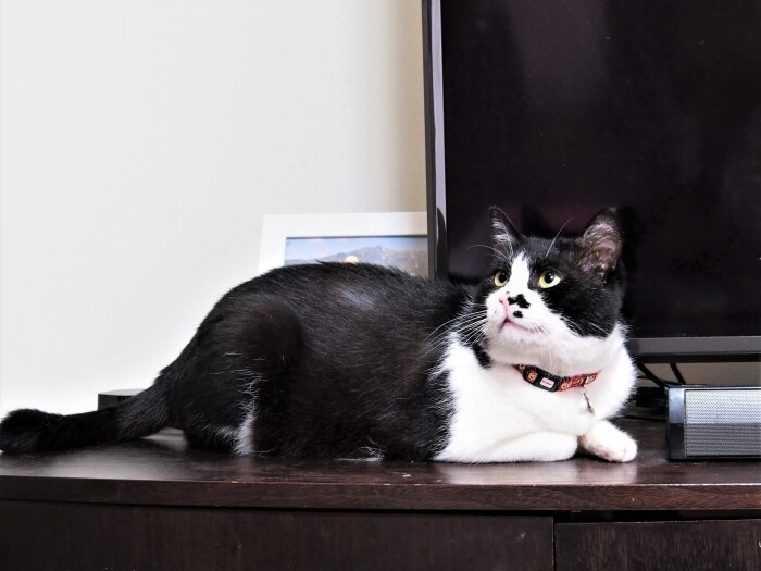 ややぽっちゃり体形