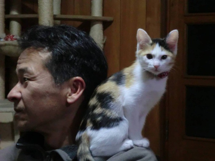 お父さんは、とても可愛がって育てた