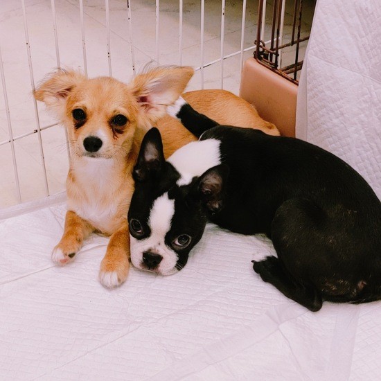 すっかりマブダチ（UG提供）