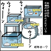 【漫画】『アベノマスク〇〇枚ゲットした父』10（みたんさん提供）