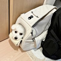 お出かけ用のバッグに入って待つアポちゃん（画像提供：Apo こげ耳ビションさん）