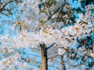 嫌われるのでないかと連絡や面会を避けた。成人式も迎えず、逝ってしまった親友