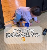 やっぱりパンが食べたいりんちゃん（提供：＠daisuki_rinrinさん）
