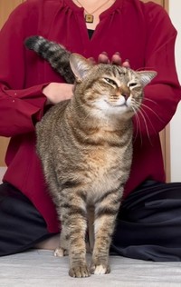立ち上がったちゃうほど気持ちいいんです（つむぎちゃんの飼い主さん提供、Instagramよりキャプチャ撮影）